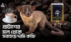 বিশ্বের সবচেয়ে দামি কফি