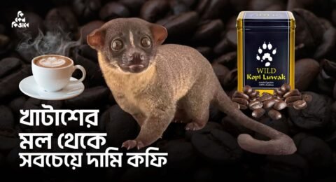 বিশ্বের সবচেয়ে দামি কফি