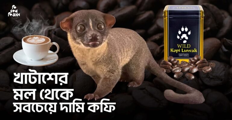 বিশ্বের সবচেয়ে দামি কফি